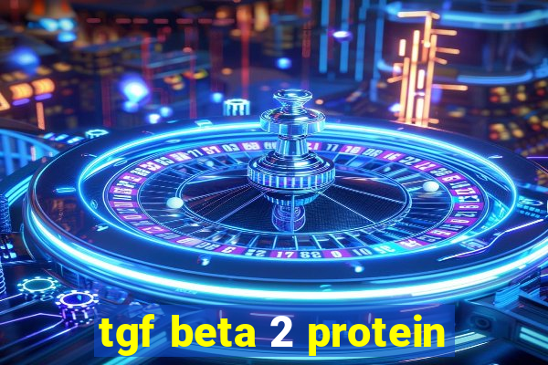 tgf beta 2 protein